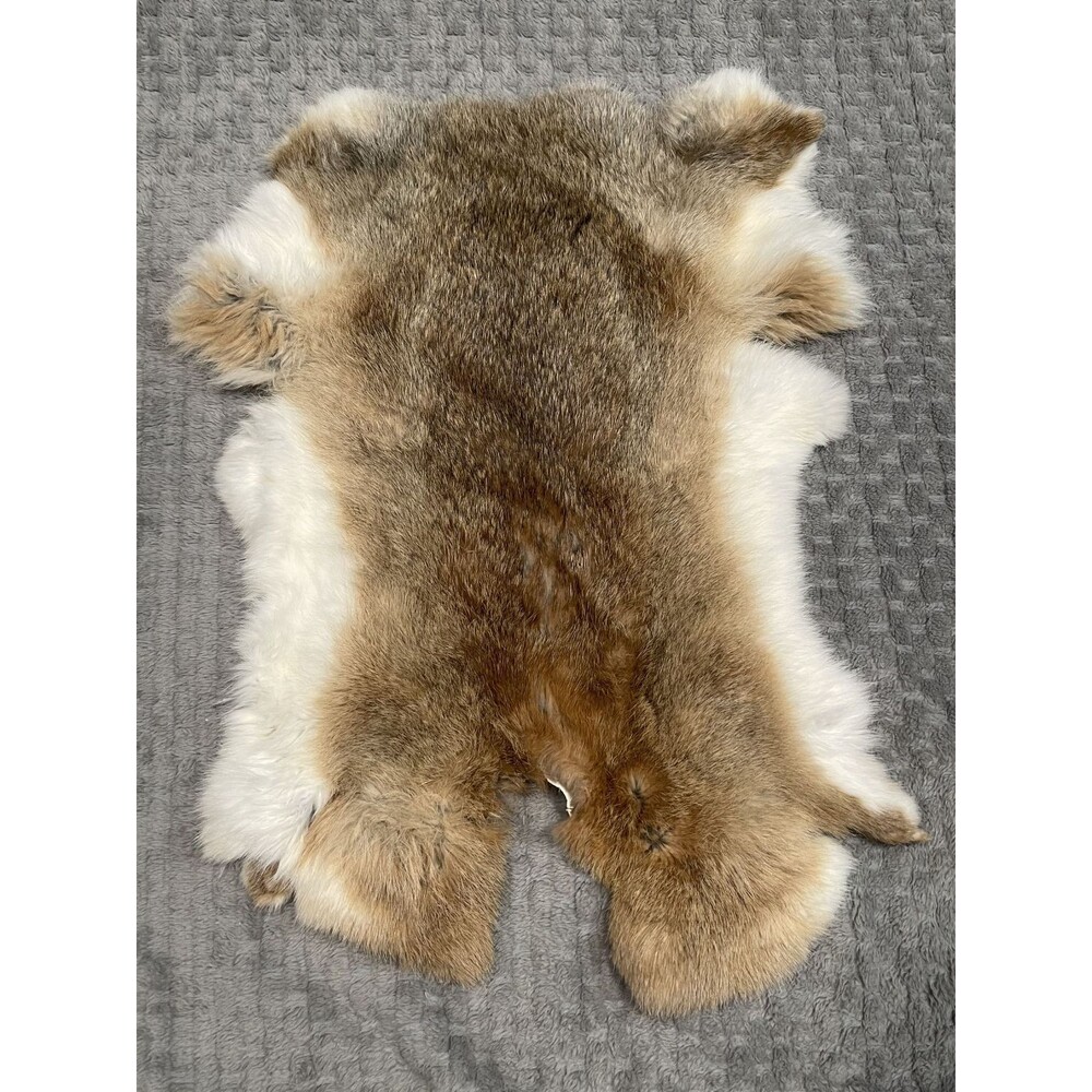 Genuine Rabbit Pelt Brown White Tanned Real Fur Hide Taxidermy Oddities Curios